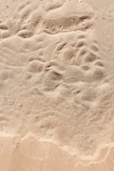Sand texture for background