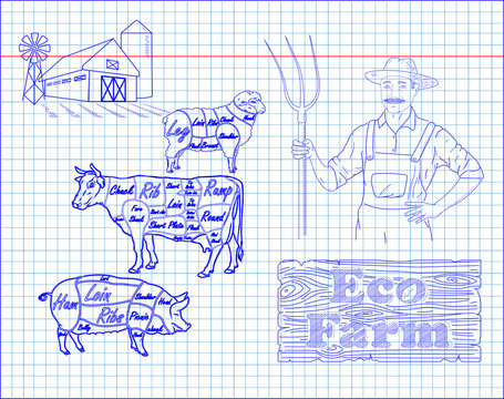 beautiful beef diagram, pork, lamb and farmer