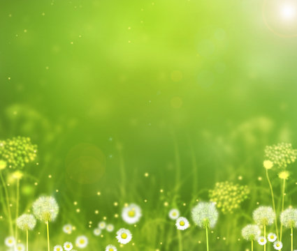 Summer sunny background with field flowers, plants and bokeh effect with stardust. © winvic