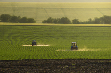 Naklejka premium Tractors sprayed cornfield
