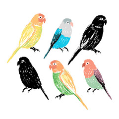 Set of the colorful hand drawn parrots