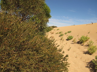 Fototapeta na wymiar innes national park, south australia 