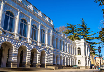 Fototapeta na wymiar The Vorontsov Palace in Tbilisi