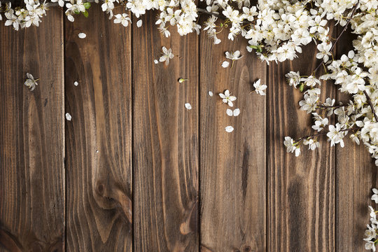 spring background. fruit flowers on wooden table Stock Photo | Adobe Stock
