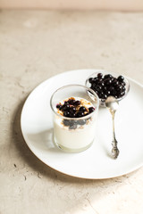 Glass 0f yogurt with muesli and black currants