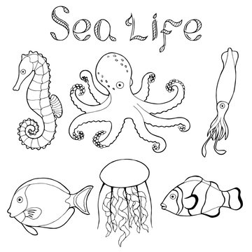 Sea life fish graphic art black white isolated illustration vector