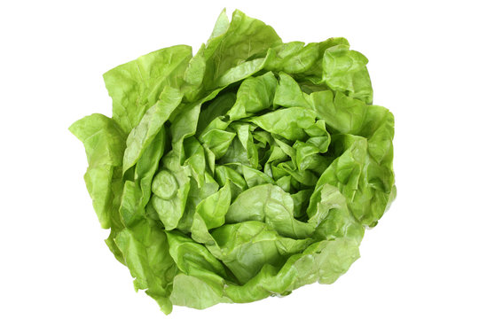 Salat Kopfsalat Gemüse von oben Freisteller freigestellt isolie