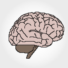 Human brain in pixel art