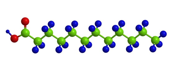Lauric acid - molecular structure
