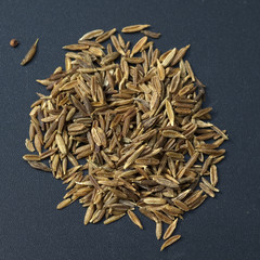 Kreuzkuemmel; Cuminum, cyminum, Samen