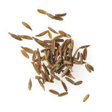 Kreuzkuemmel; Cuminum, cyminum, Samen