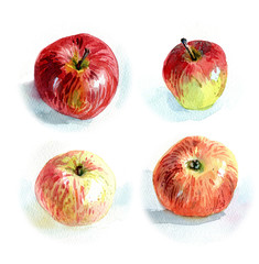 Fresh yellow summer apples isolated