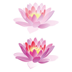 Lotus hand drawn watercolor vector illustration on white background