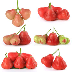 Rose apples isolated on white background