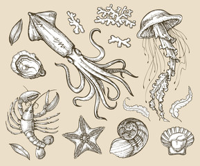 Fototapeta premium Hand drawn sketch set seafood, sea animals. Vector illustration