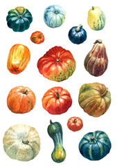 Set of assorted pumpkins painted with watercolours