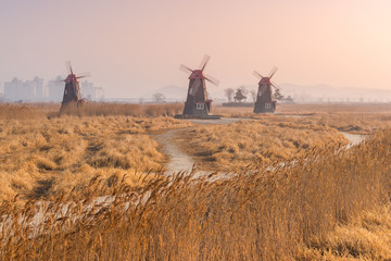 Fototapeta premium Sunrise at Old wooden windmills the field in the park,south kore