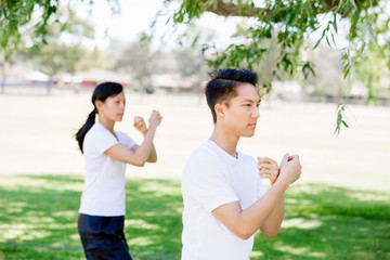 People practicing thai chi in park