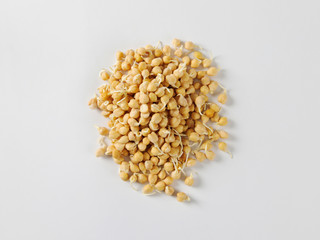 Sprouted chickpeas