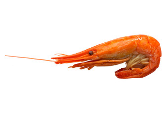 Boiled shrimp.
