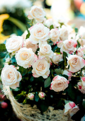 Large bouquet in a basket of delicate roses