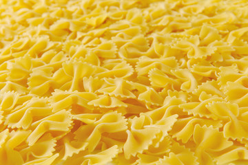 Uncooked farfalle pasta
