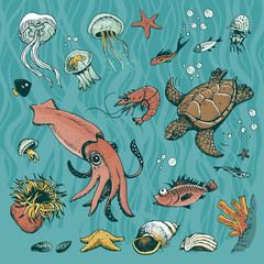 Obraz premium Underwater vector set
