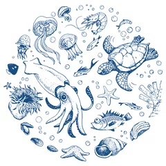 Crédence de cuisine en verre imprimé Vie marine Sea life hand drawn set  