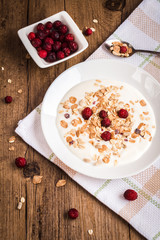 Homemade yogurt with granola and dried cranberries
