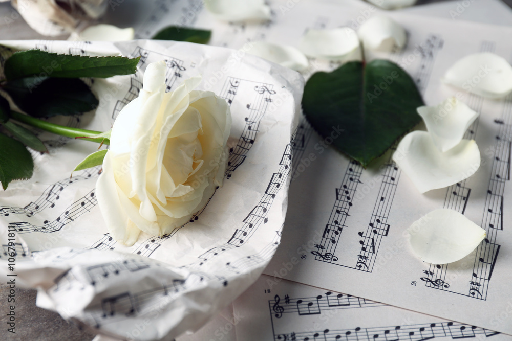 Poster beautiful rose on music sheets background