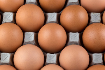 Fresh Hens Eggs in Cardboard Egg Tray