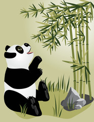 Pandabär in der Natur