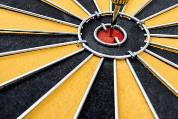 Dart target with arrow on the center of dartboard