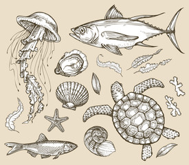 Obraz premium Hand drawn sketch set marine animals, wildlife. Vector illustration