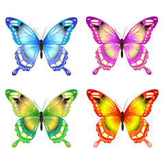 butterflies design