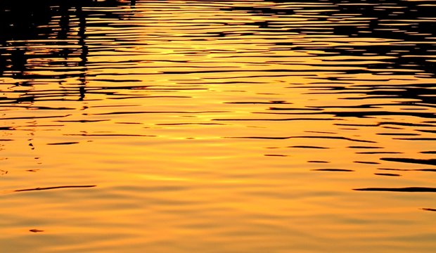 Ripple on the surface of the water during golden sunset