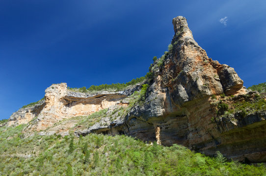 Pitarque