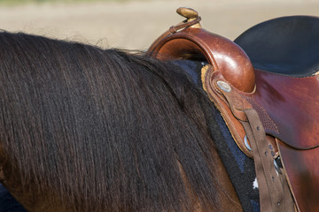 cheval