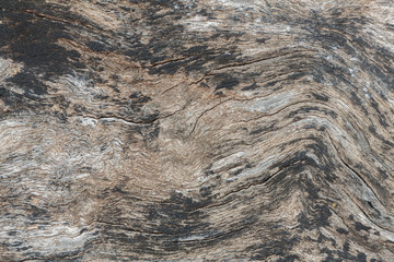 Texture old wood background.