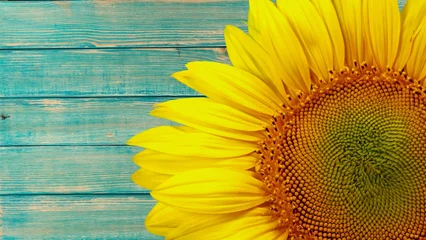 Fototapeten Sunflower. © BillionPhotos.com