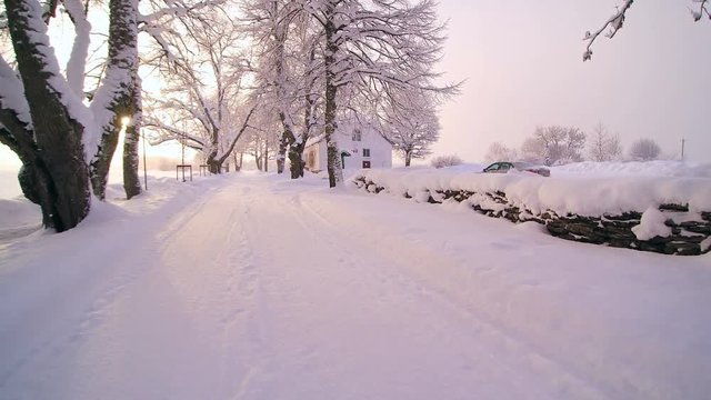 The road outside the Palmse manor covered in thick white snow