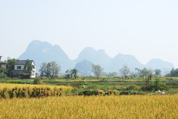 Fototapeta premium Beautiful rural scenery in autumn