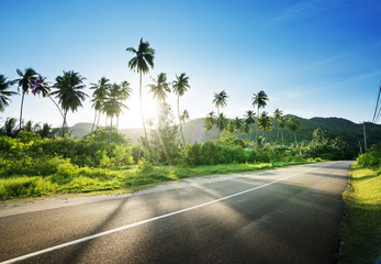 Obraz premium pusta droga w dżungli wysp Seszeli