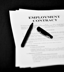 Obraz premium Employment Document