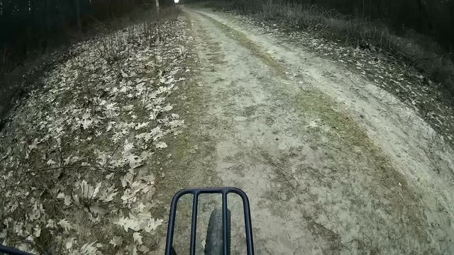 Spring trip by bicycle on park or wood in  sunny day. Forward wheel