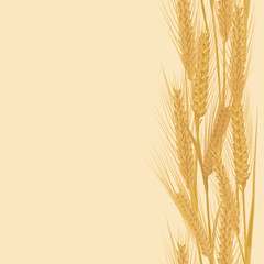 Ears of wheat vertical border seamless pattern for banners © tpupyku
