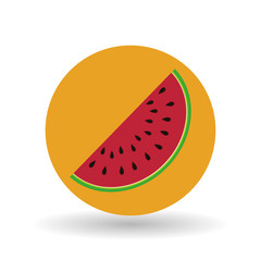 fruit over circle  design, vector illustration