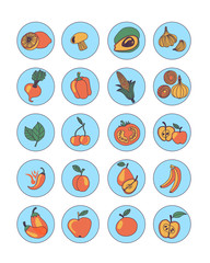 Doodle icons of fruits and vegetables