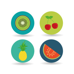 fruit over circle  design, vector illustration
