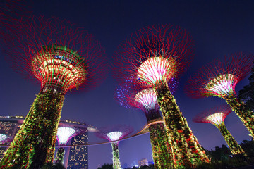 Supertree Grove at Gardens by the Bay in Singapore. 